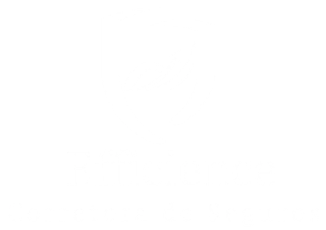 Efficience Seguros
